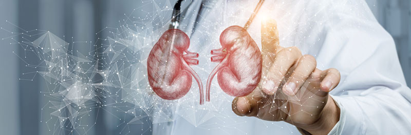 rins dialise nefrovida